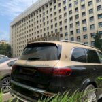 Oana Gheorghiu a descoperit „mărgica” din GEI Palat CFR SA-În Consiliul de Administrație este „ascuns” Nelu Barbu și alți aghiotanți PSD