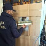 Captură uriașă la Giurgiu: peste 7 milioane de țigarete fără acte, descoperite într-un TIR
