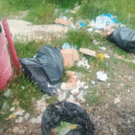 Video. Peisajele din Clisura Dunării, umbrite de gunoaie: DRDP Craiova acuză abandonarea deșeurilor pe DN57