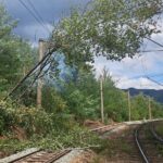 Copac căzut pe linia ferată Baru Mare-Crivadia